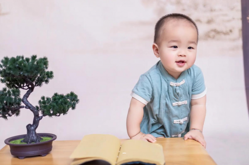 温州可爱的企鹅宝宝